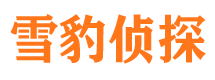 渭源市调查公司